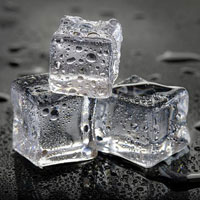 Coolants and Refrigerants You Can Use to Ship Perishables