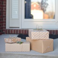 The United States Postal Service’s Plans for the 2023 Holiday Season